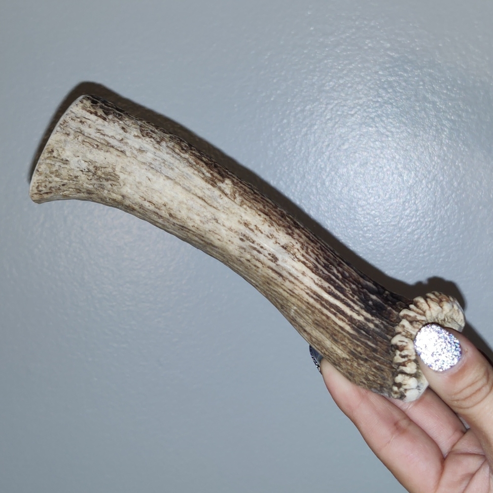 Deer Antler Root